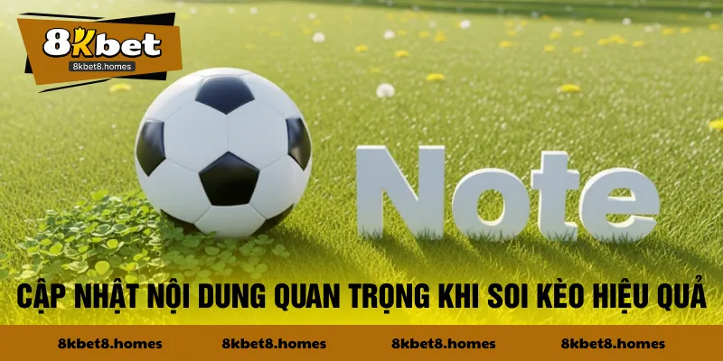 Cập nhật nội dung quan trọng khi soi kèo hiệu quả