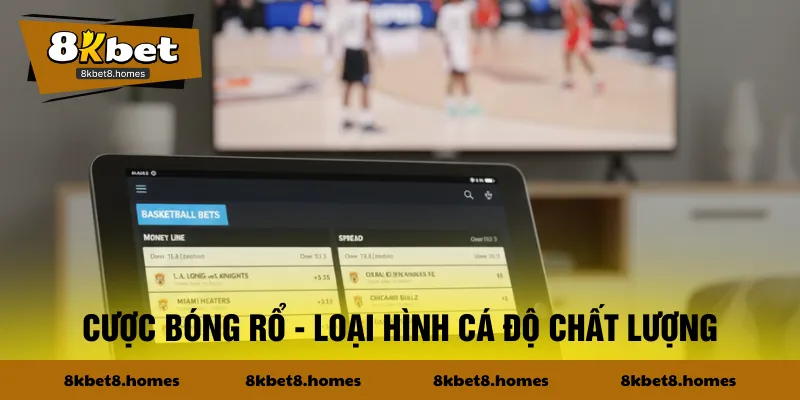 Cược bóng rổ - Loại hình cá độ chất lượng