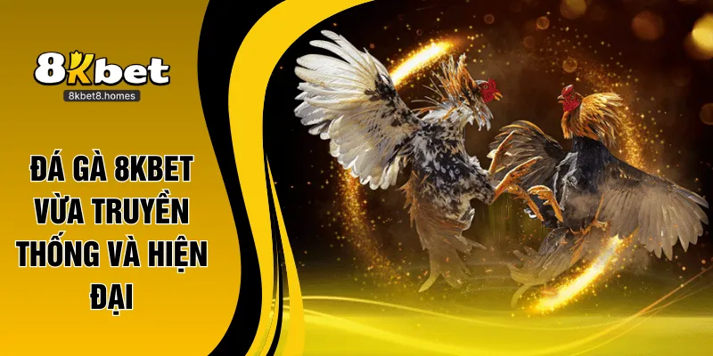 Đá gà trực tuyến cập nhật kết quả tức thì