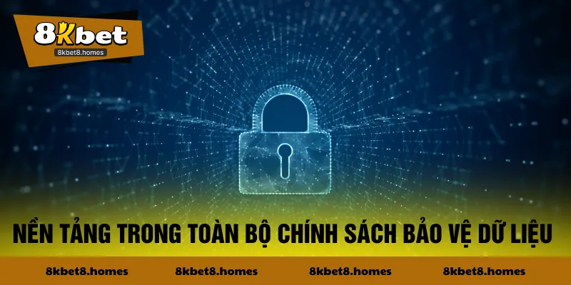 Nền tảng trong toàn bộ chính sách bảo vệ dữ liệu
