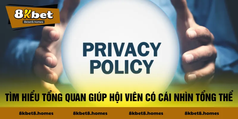 Tìm hiểu tổng quan giúp hội viên có cái nhìn tổng thể