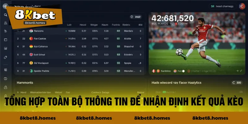 Tổng hợp toàn bộ thông tin để nhận định kết quả kèo