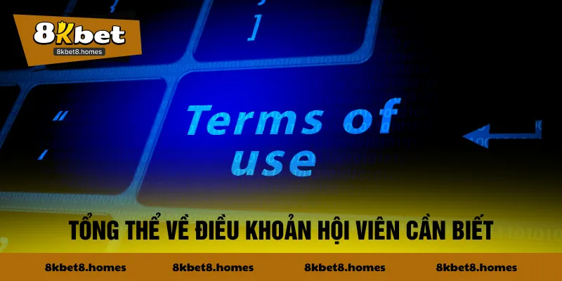 Tổng thể về điều khoản hội viên cần biết